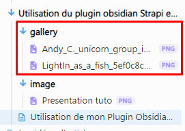 Computer screen displaying a file navigation window with a folder named 'gallery' expanded to reveal PNG image files named 'Andy_C_unicorn_group_i…' and 'LightIn_as_a_fish_5ef0c8c8c…'. A red box highlights the folder and its contents.